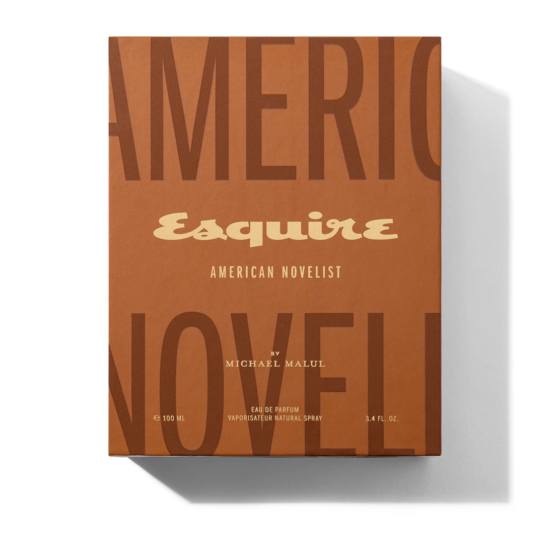 AMERICAN NOVELIST