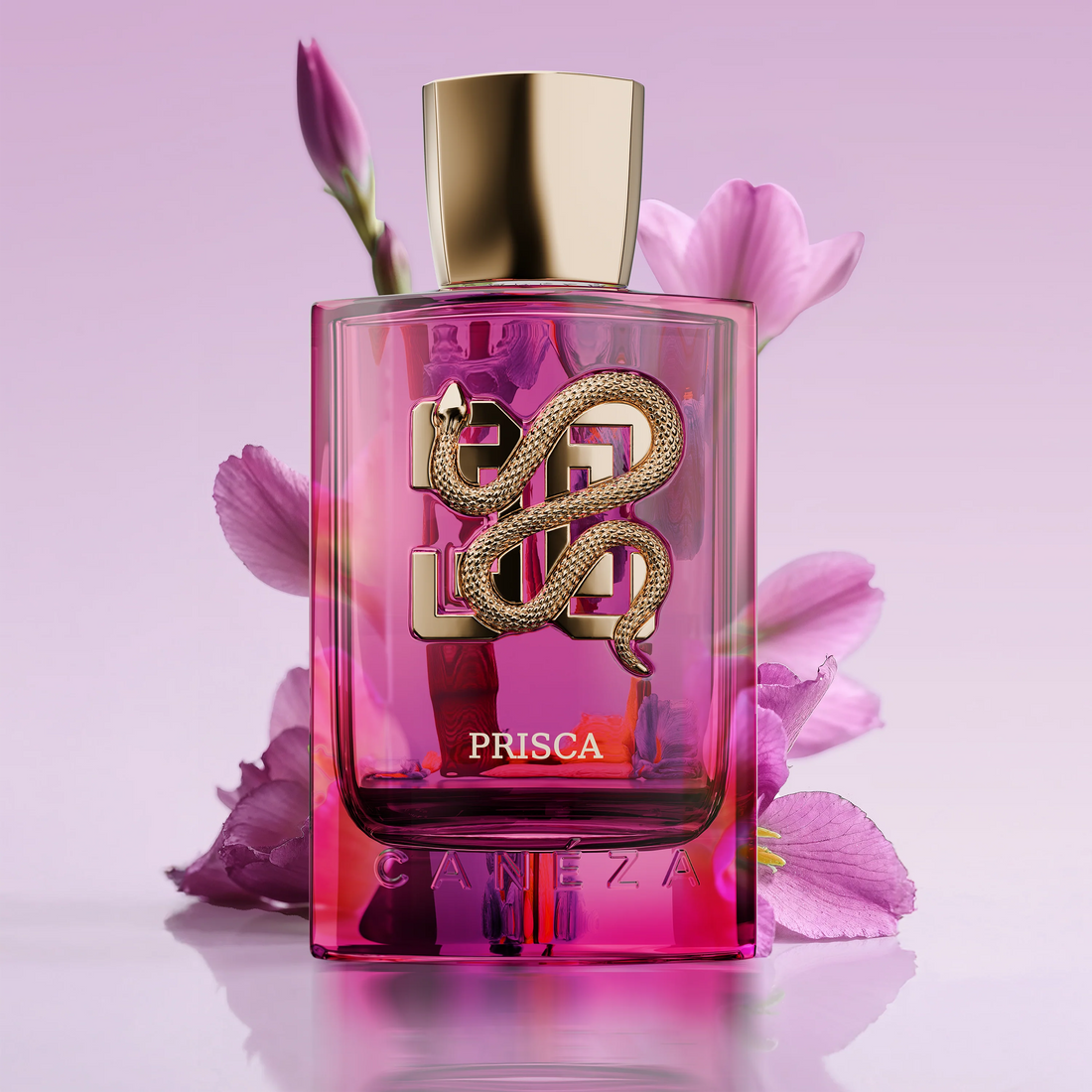 PRISCA